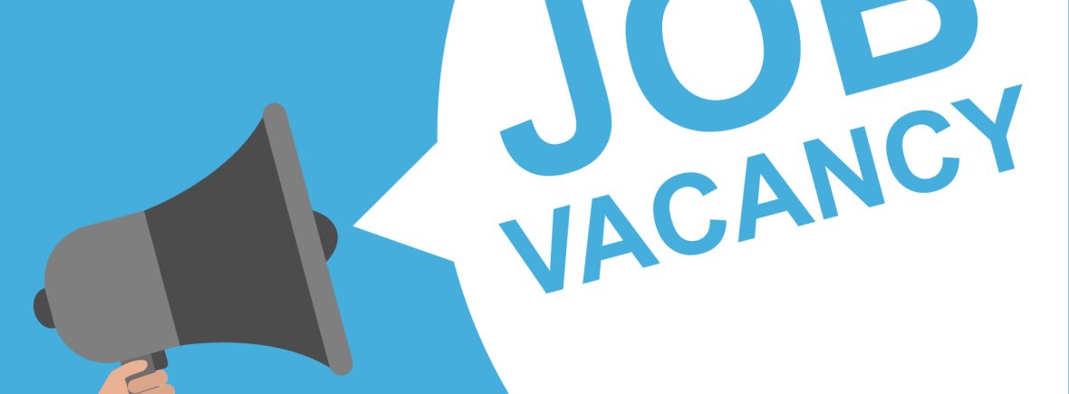Job Vacancy
